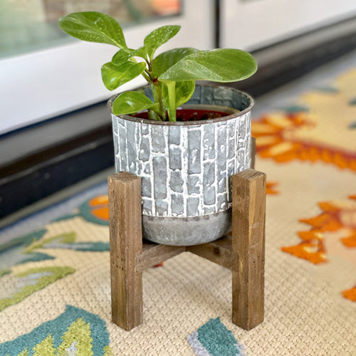 Med White Wash Planter /Wood stand