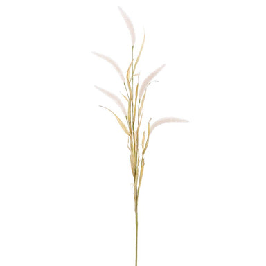 42"FOXTAIL GRASS SPRAY CREAM - The Bronze Butterfly