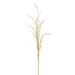 42"FOXTAIL GRASS SPRAY CREAM - The Bronze Butterfly