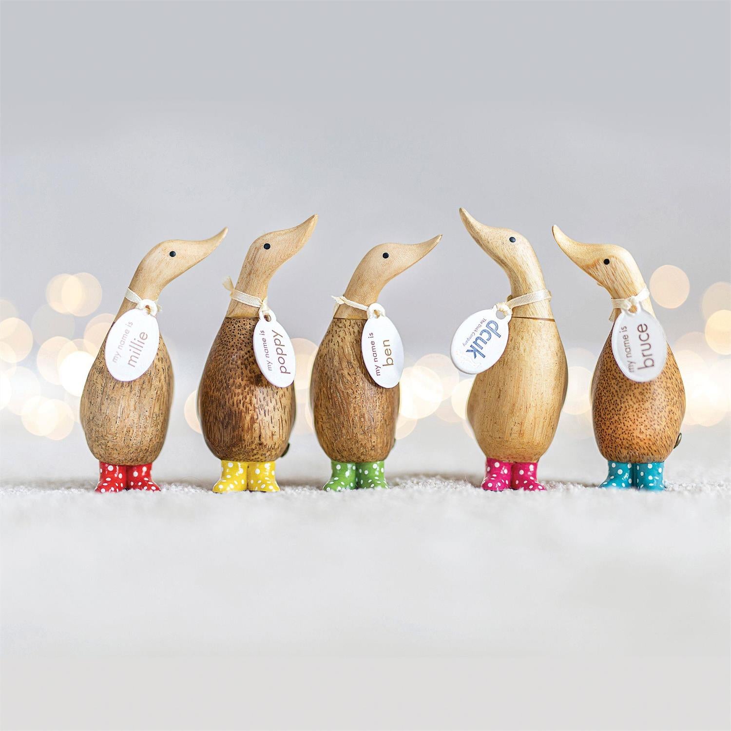 DCUK Spotty Boots Dinky Ducks - The Bronze Butterfly