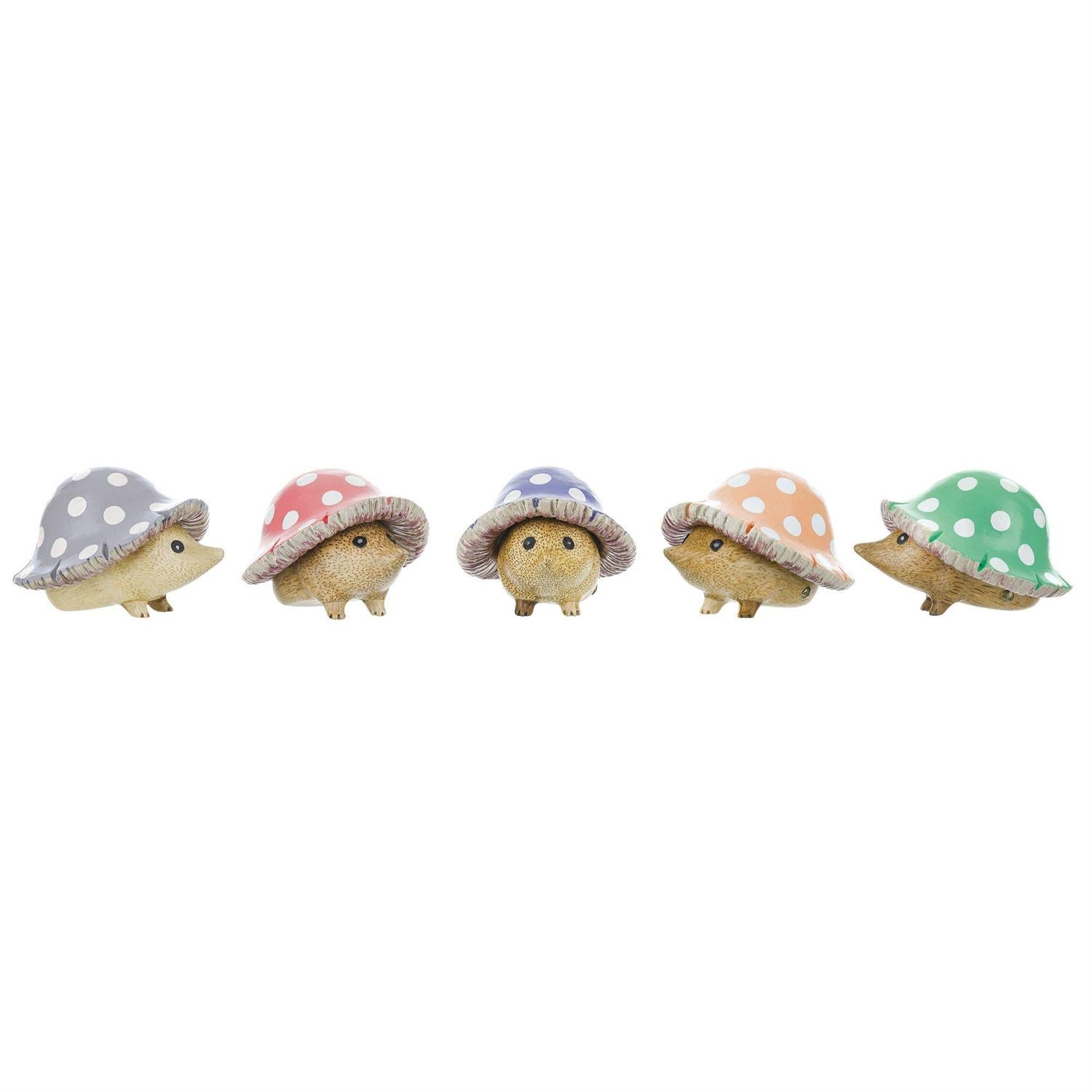 DCUK Toadstool Folk Hedgie - The Bronze Butterfly