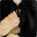 Dachshund Warmies - The Bronze Butterfly
