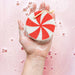 Lemon Lavender Bubbly and Bright Super Sudsy Soap Sponge - The Bronze Butterfly