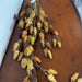 Primitive by Kathy Fall Pods Floral Pick - The Bronze Butterfly