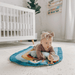 Bitzy Bespoke Ritzy Tummy Time™ Rainbow Play Mat - The Bronze Butterfly