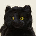 Black Cat Warmies - The Bronze Butterfly