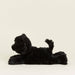 Black Cat Warmies - The Bronze Butterfly