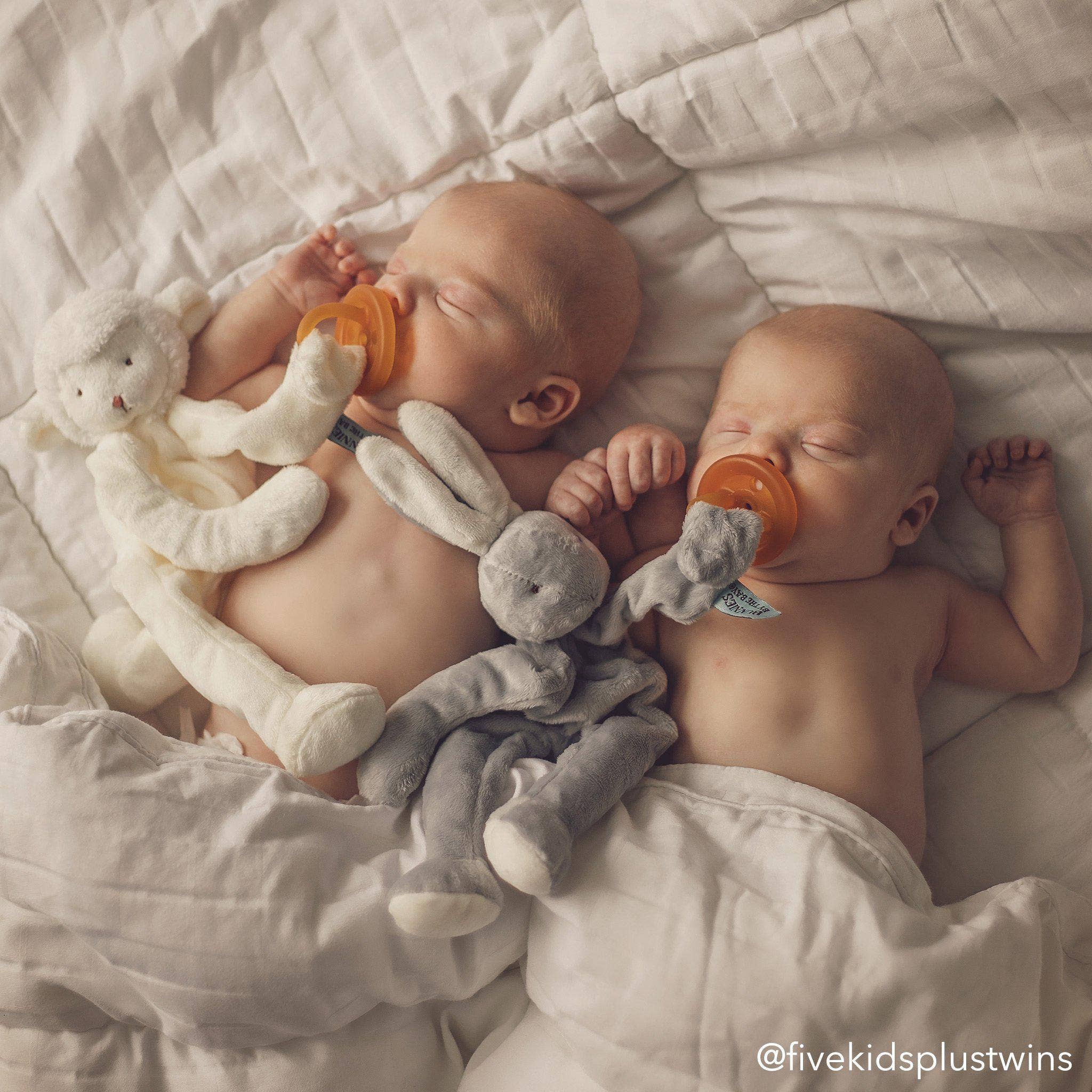 Bloom Bunny Silly Buddy - The Bronze Butterfly