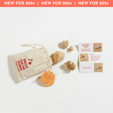 Break Your Own Geodes Bag - The Bronze Butterfly