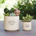 Ceramic Planting Pots - Set of 2 - The Bronze Butterfly