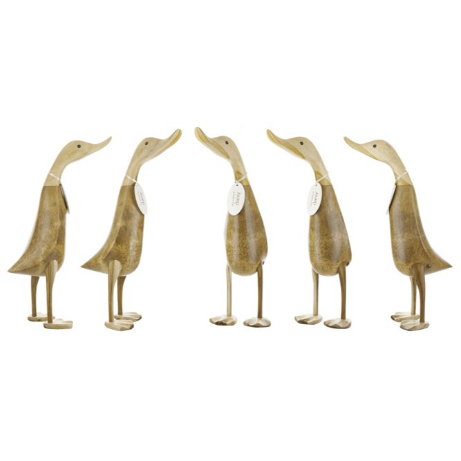 DCUK Natural Ducks - The Bronze Butterfly