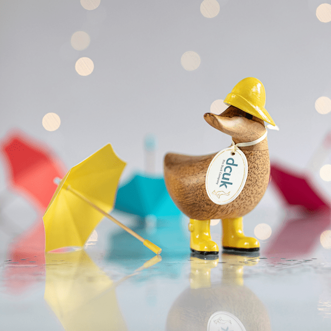 DCUK Rainy Day Duckys - The Bronze Butterfly