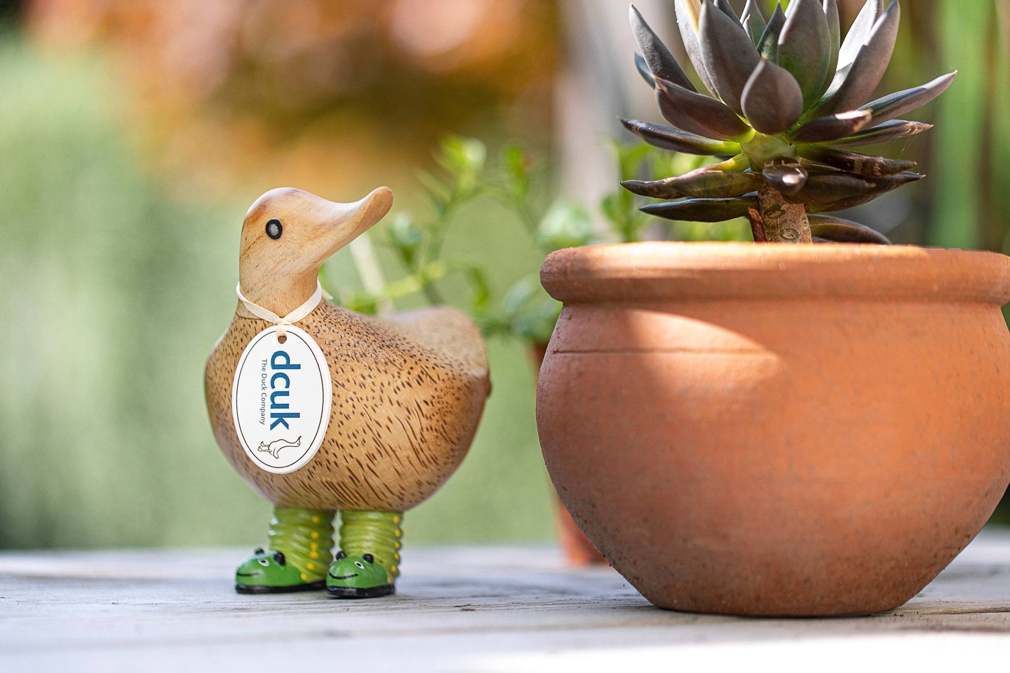 DCUK Wild Wellies - The Bronze Butterfly