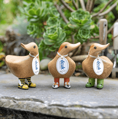 DCUK Wild Wellies - The Bronze Butterfly