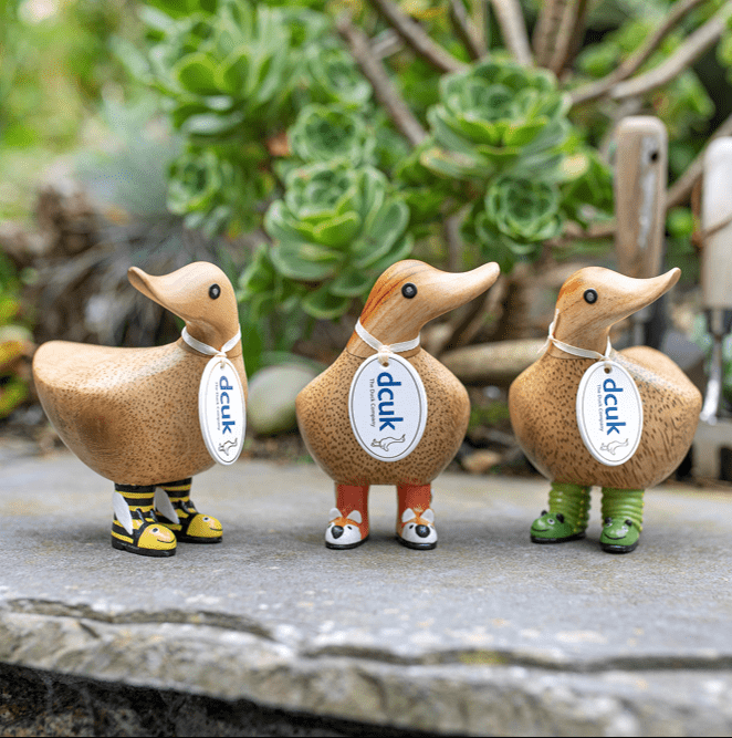 DCUK Wild Wellies - The Bronze Butterfly