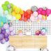KC DISCO BALL BALLOON GARLAND WITH FRINGE - The Bronze Butterfly