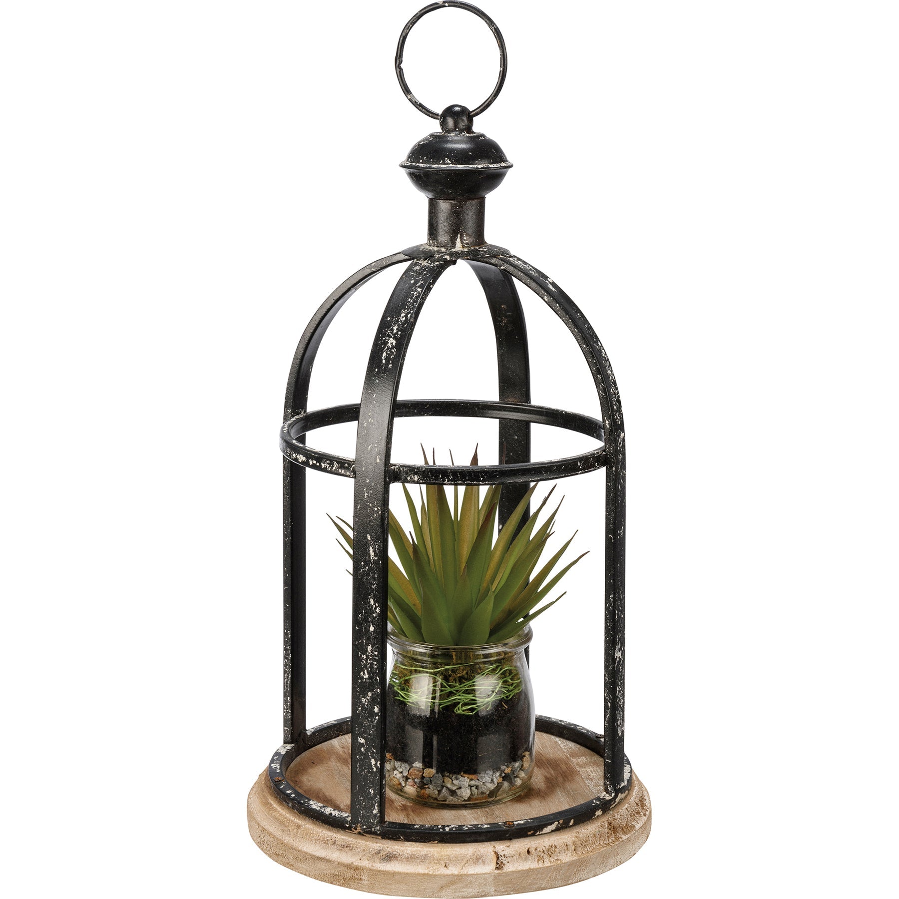 Lantern Bird Cage - The Bronze Butterfly
