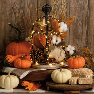 Lantern Bird Cage - The Bronze Butterfly