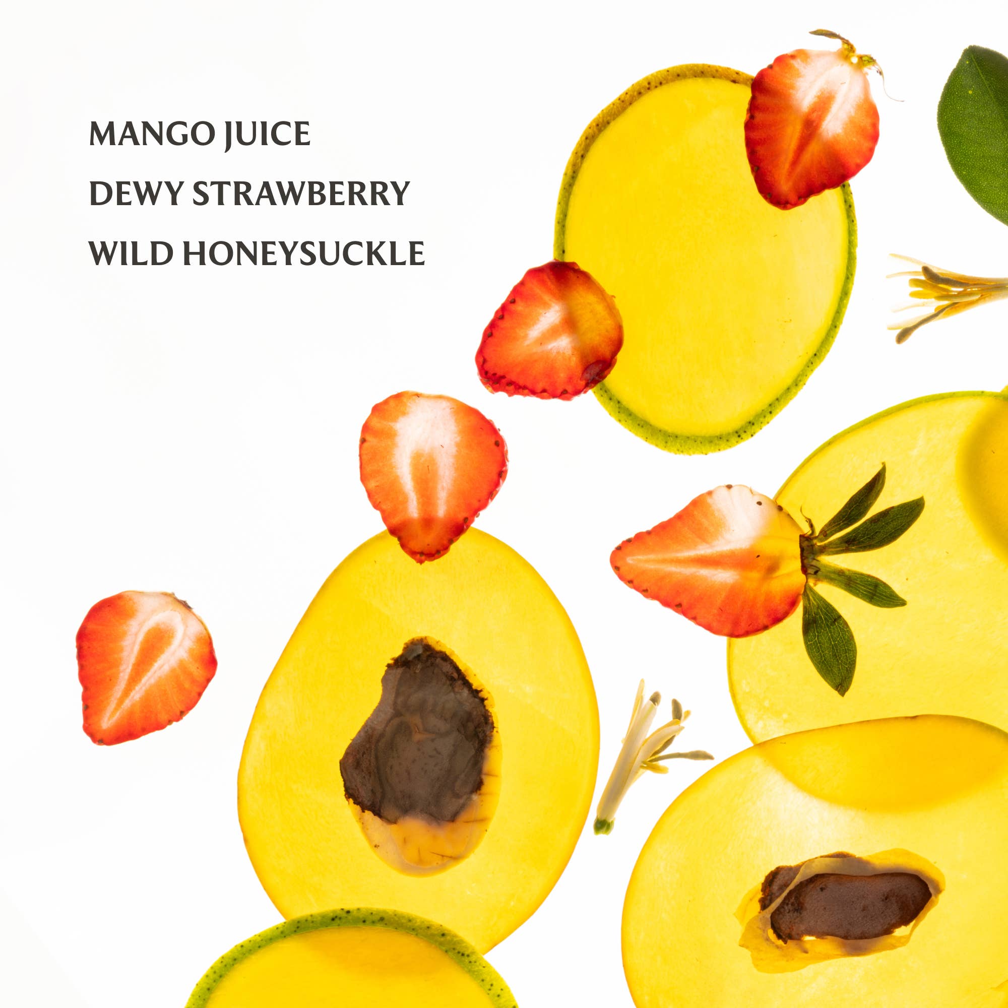 Mango Mojo Power Essence Body & Hair Fragrance Mist - The Bronze Butterfly