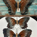 Metallic Butterfly Wall Decor - The Bronze Butterfly