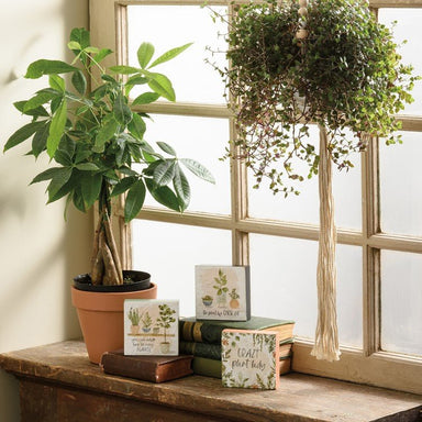 Plant Life Blocks - set of 3 - The Bronze Butterfly