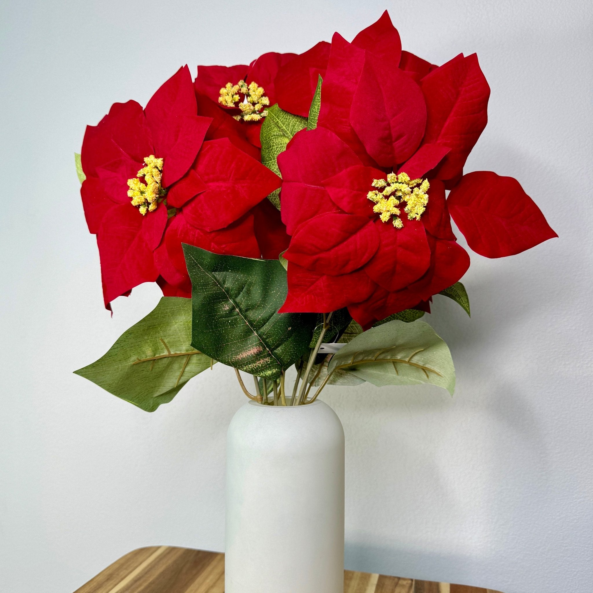 POINSETTIA BUSH 23IN - The Bronze Butterfly