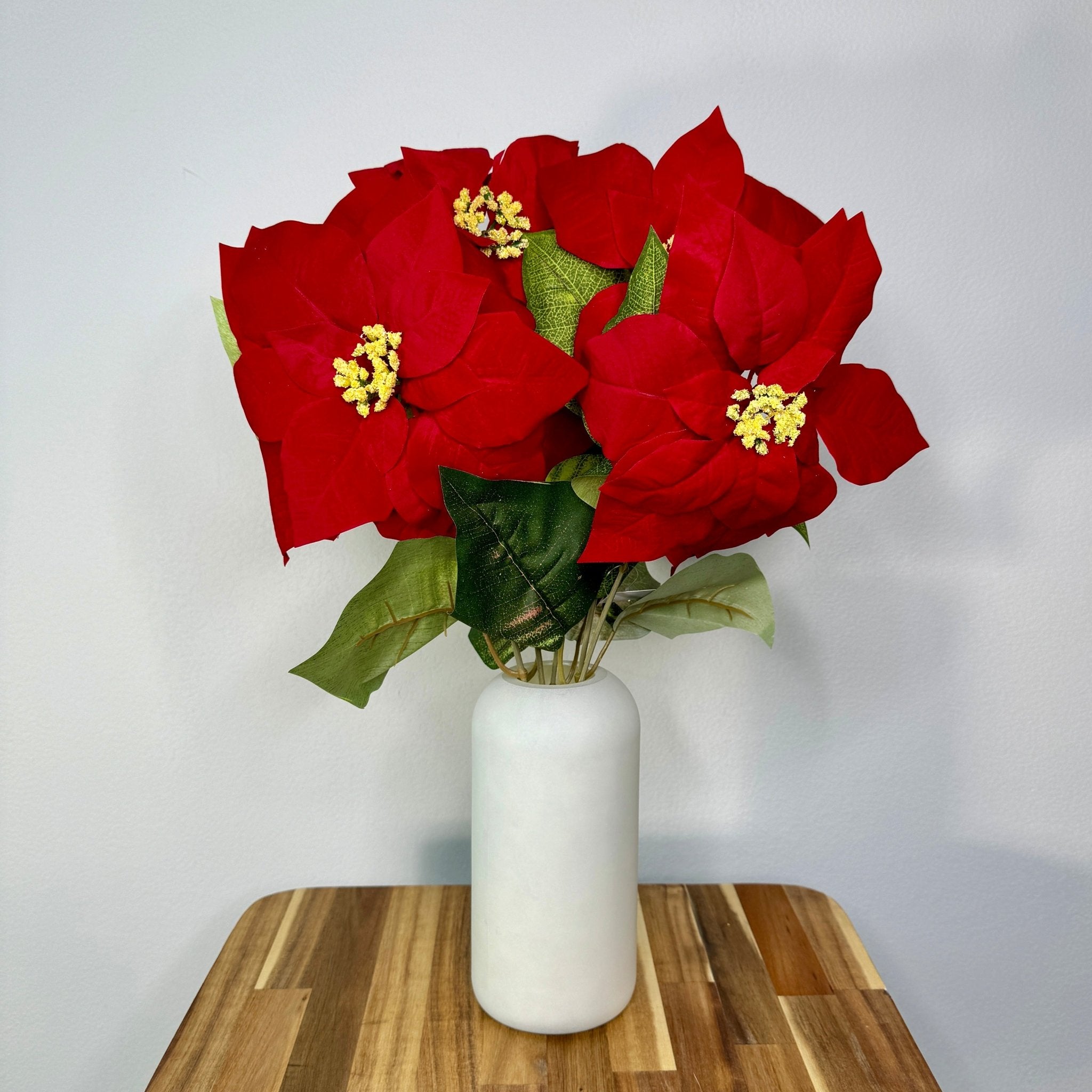 POINSETTIA BUSH 23IN - The Bronze Butterfly