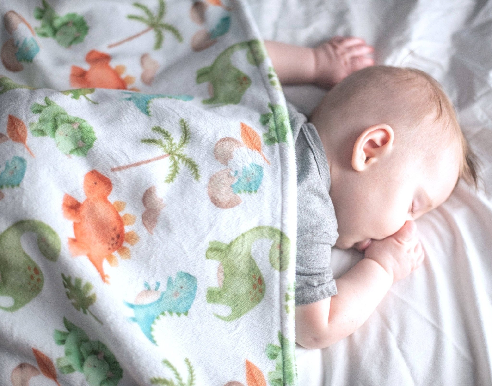 Premium Baby & Toddler Minky Blanket - Dinosaurs - The Bronze Butterfly