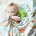 Premium Baby & Toddler Minky Blanket - Dinosaurs - The Bronze Butterfly