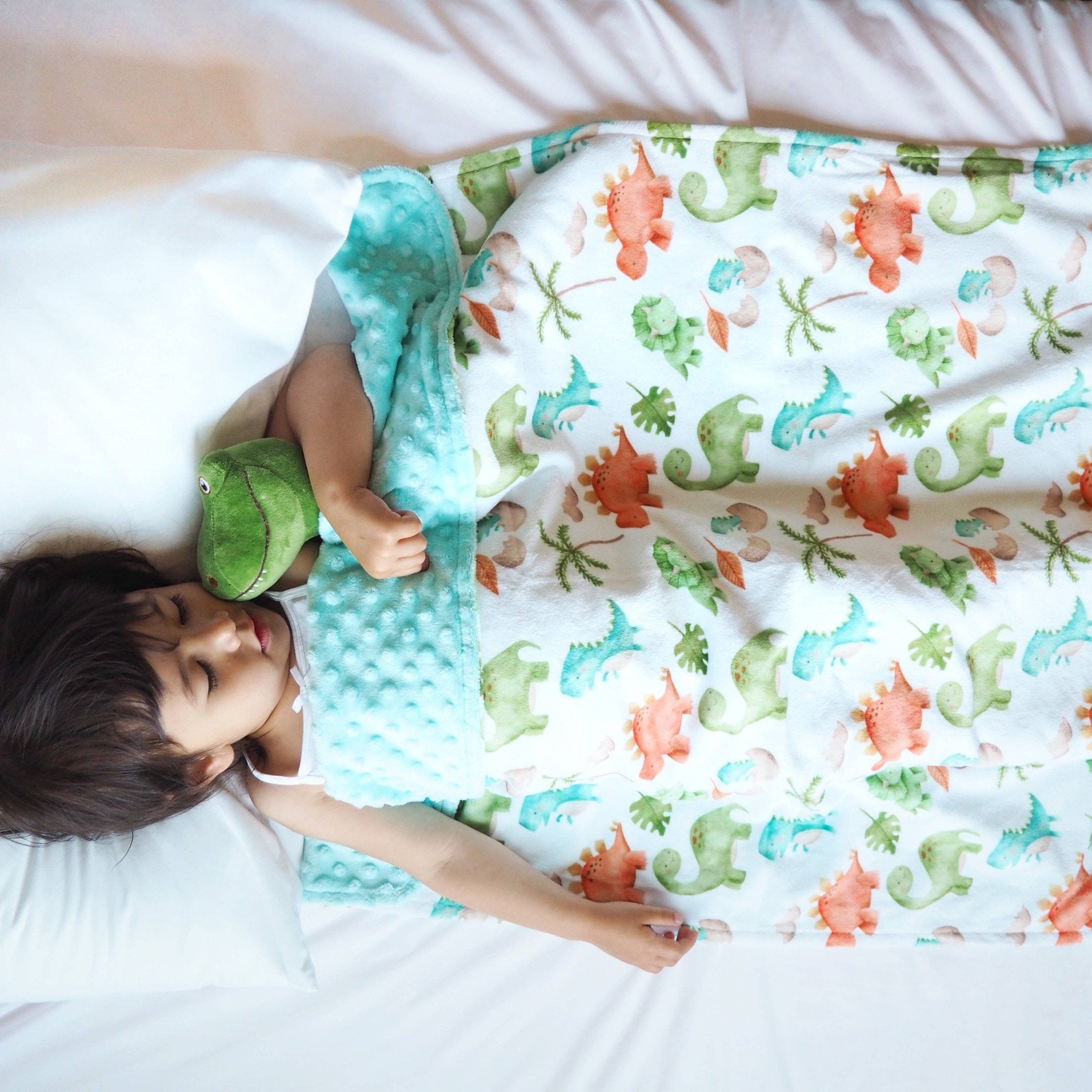 Premium Baby & Toddler Minky Blanket - Dinosaurs - The Bronze Butterfly