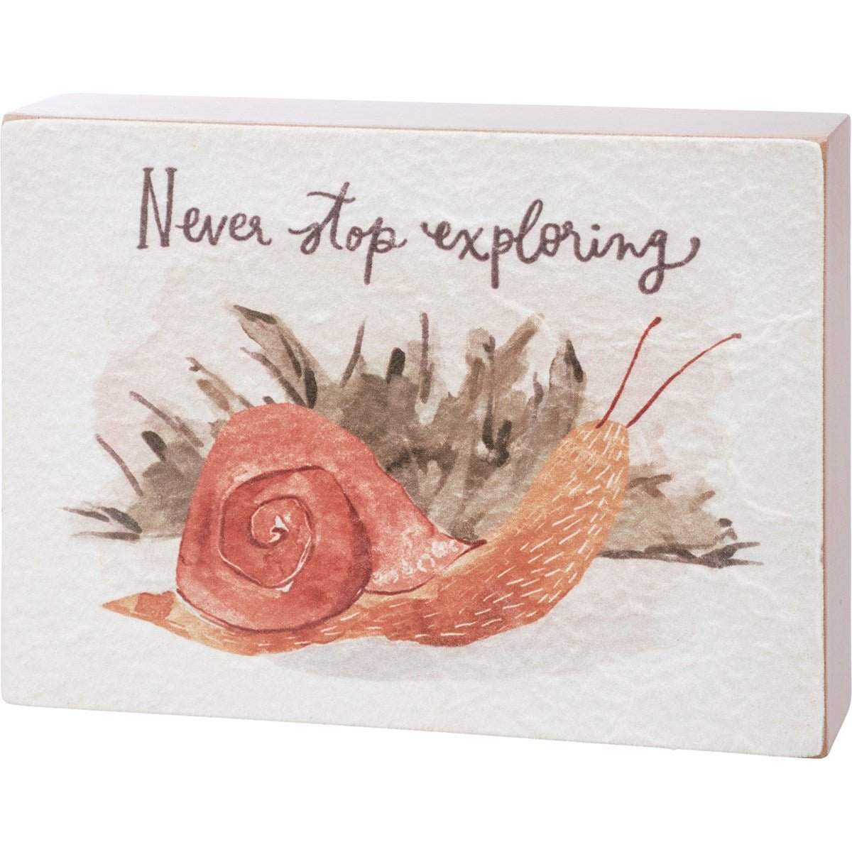 Primitives by Kathy Box Sign - The Bronze Butterfly