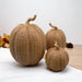 Rattan Pumpkins, Neutral Fall Home Decor Handmade Resin - The Bronze Butterfly