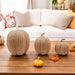 Rattan Pumpkins, Neutral Fall Home Decor Handmade Resin - The Bronze Butterfly