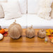 Rattan Pumpkins, Neutral Fall Home Decor Handmade Resin - The Bronze Butterfly