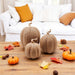 Rattan Pumpkins, Neutral Fall Home Decor Handmade Resin - The Bronze Butterfly
