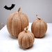 Rattan Pumpkins, Neutral Fall Home Decor Handmade Resin - The Bronze Butterfly