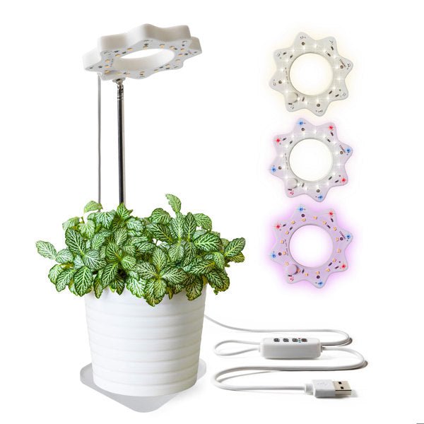 Seed N Sprout Bloomie Indoor Grow Light - The Bronze Butterfly