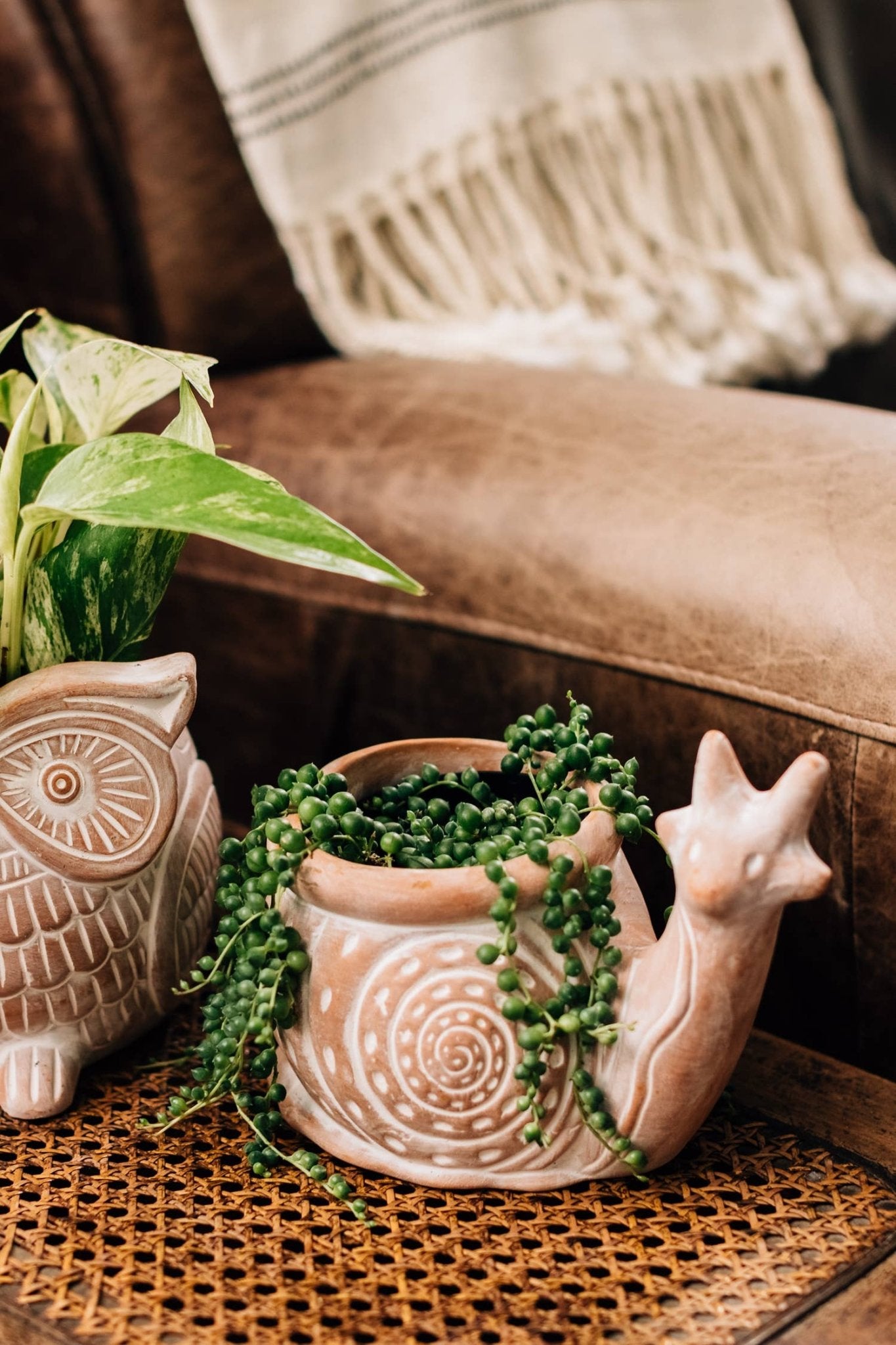 Snail Planter - The Bronze Butterfly