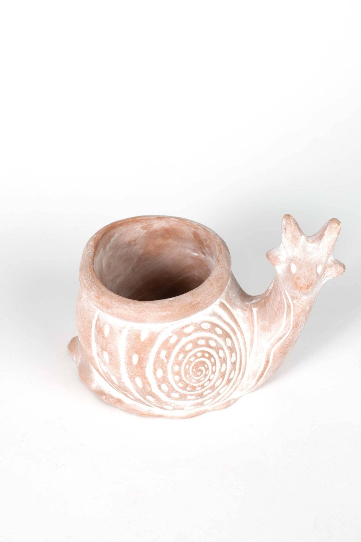 Snail Planter - The Bronze Butterfly