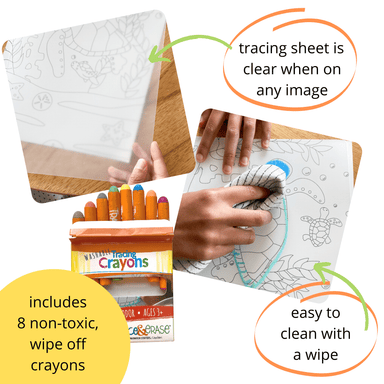 Trace Erase Ballerina - Drawing, Tracing set - The Bronze Butterfly