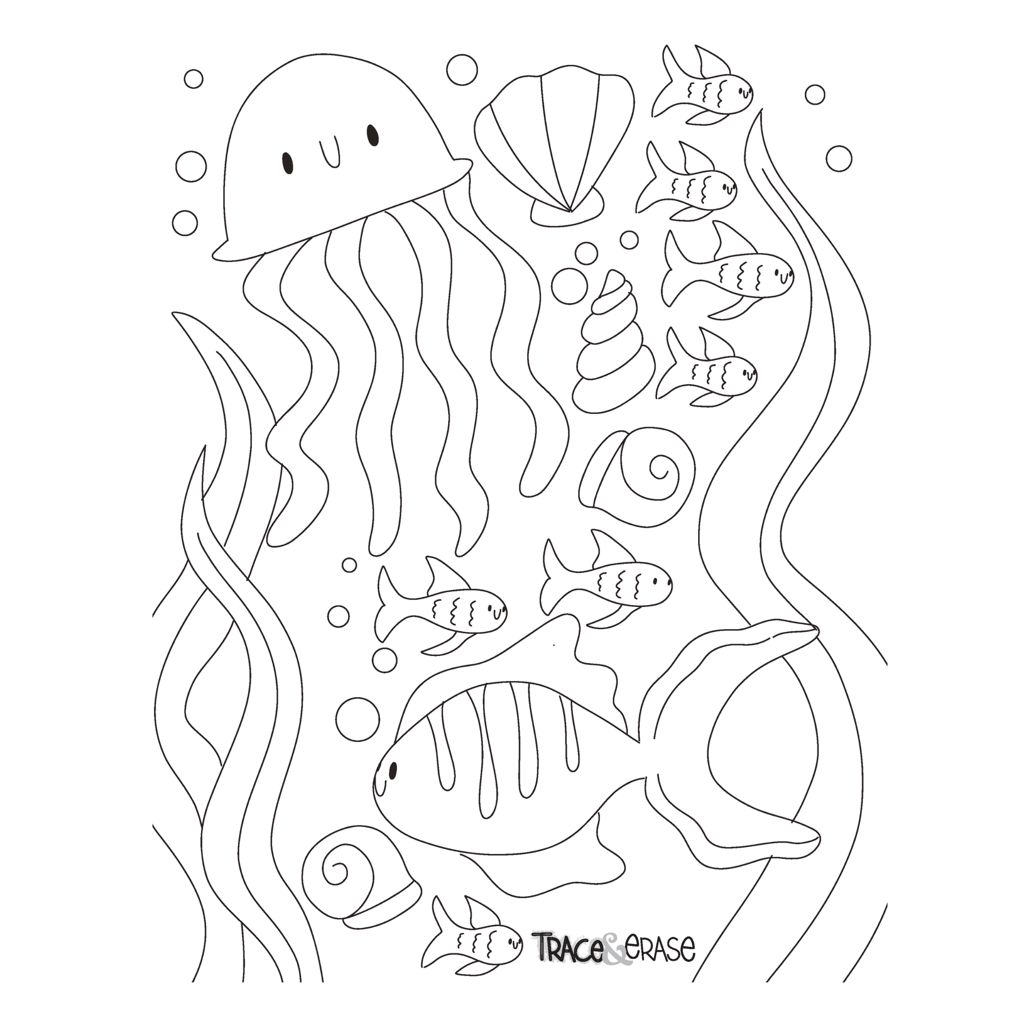 Trace Erase Sea Life - Drawing, Tracing Set NEW package - shipping Fall '23 - The Bronze Butterfly