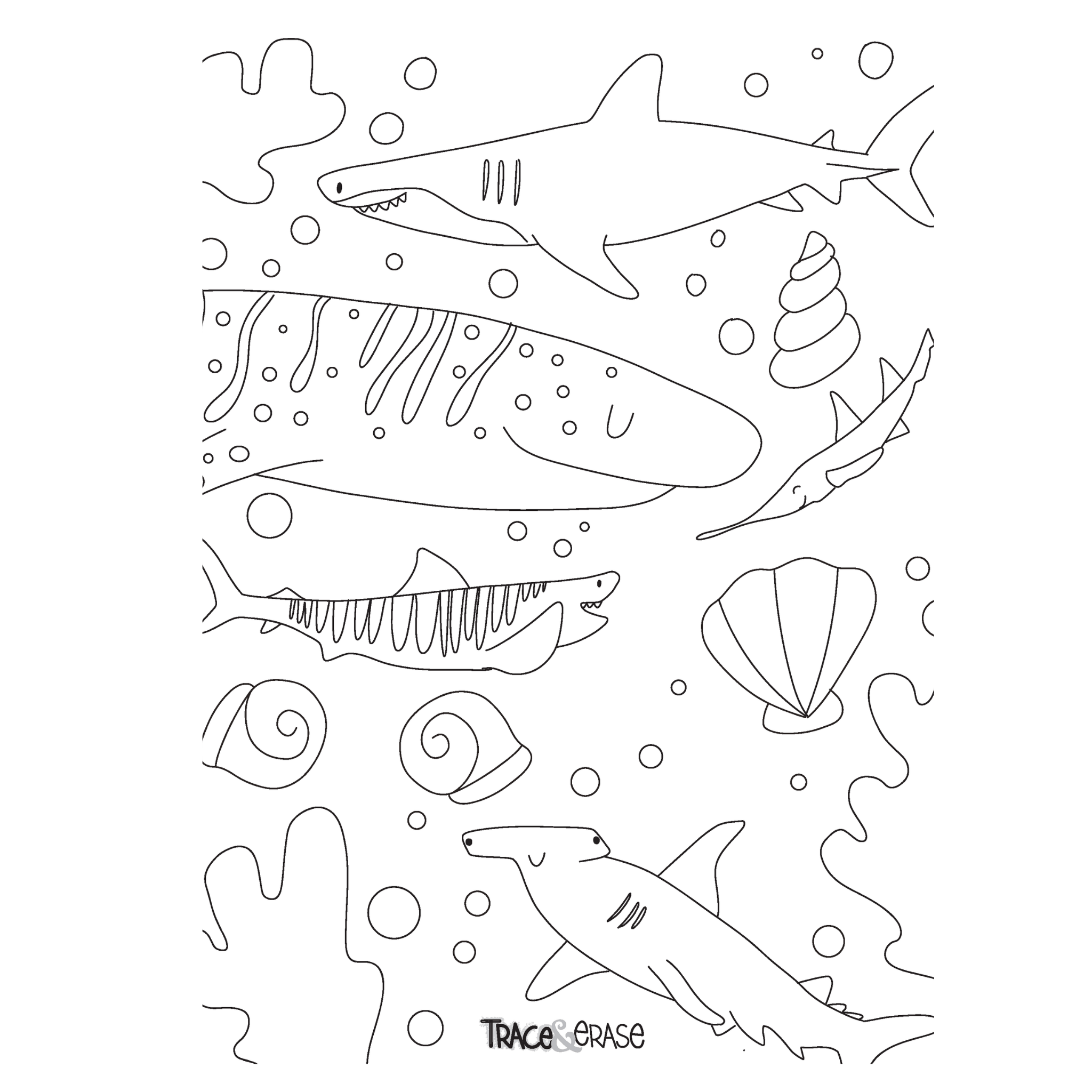 Trace Erase Sea Life - Drawing, Tracing Set NEW package - shipping Fall '23 - The Bronze Butterfly