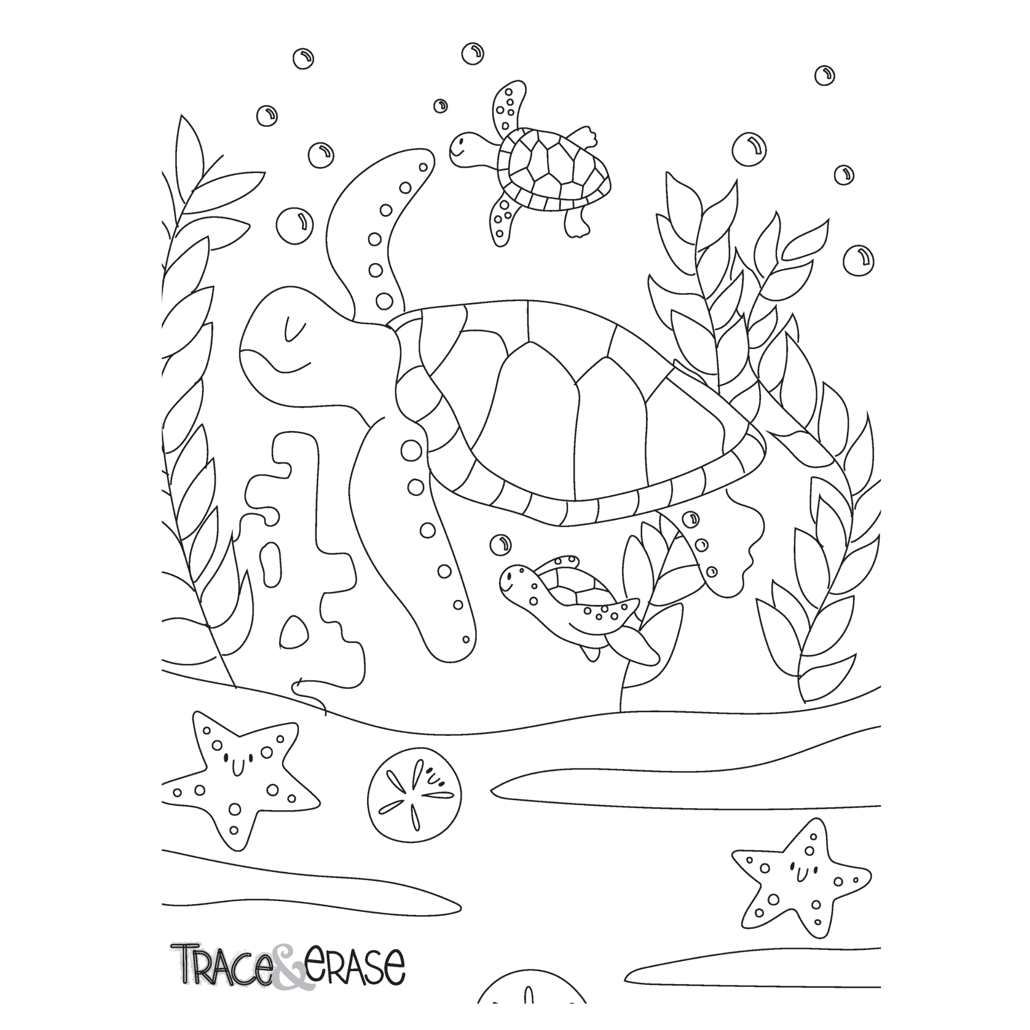 Trace Erase Sea Life - Drawing, Tracing Set NEW package - shipping Fall '23 - The Bronze Butterfly