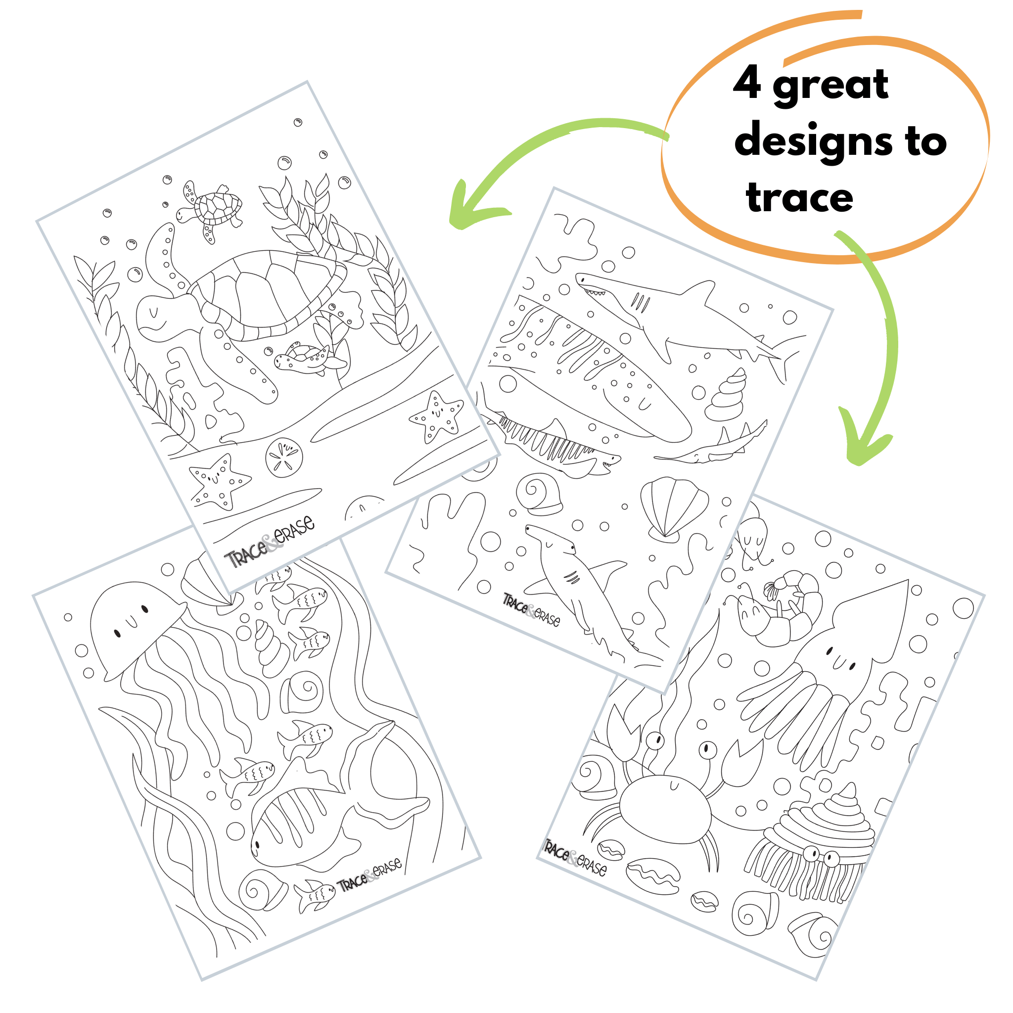 Trace Erase Sea Life - Drawing, Tracing Set NEW package - shipping Fall '23 - The Bronze Butterfly