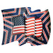 US Flag - Large Wind Spinner - The Bronze Butterfly