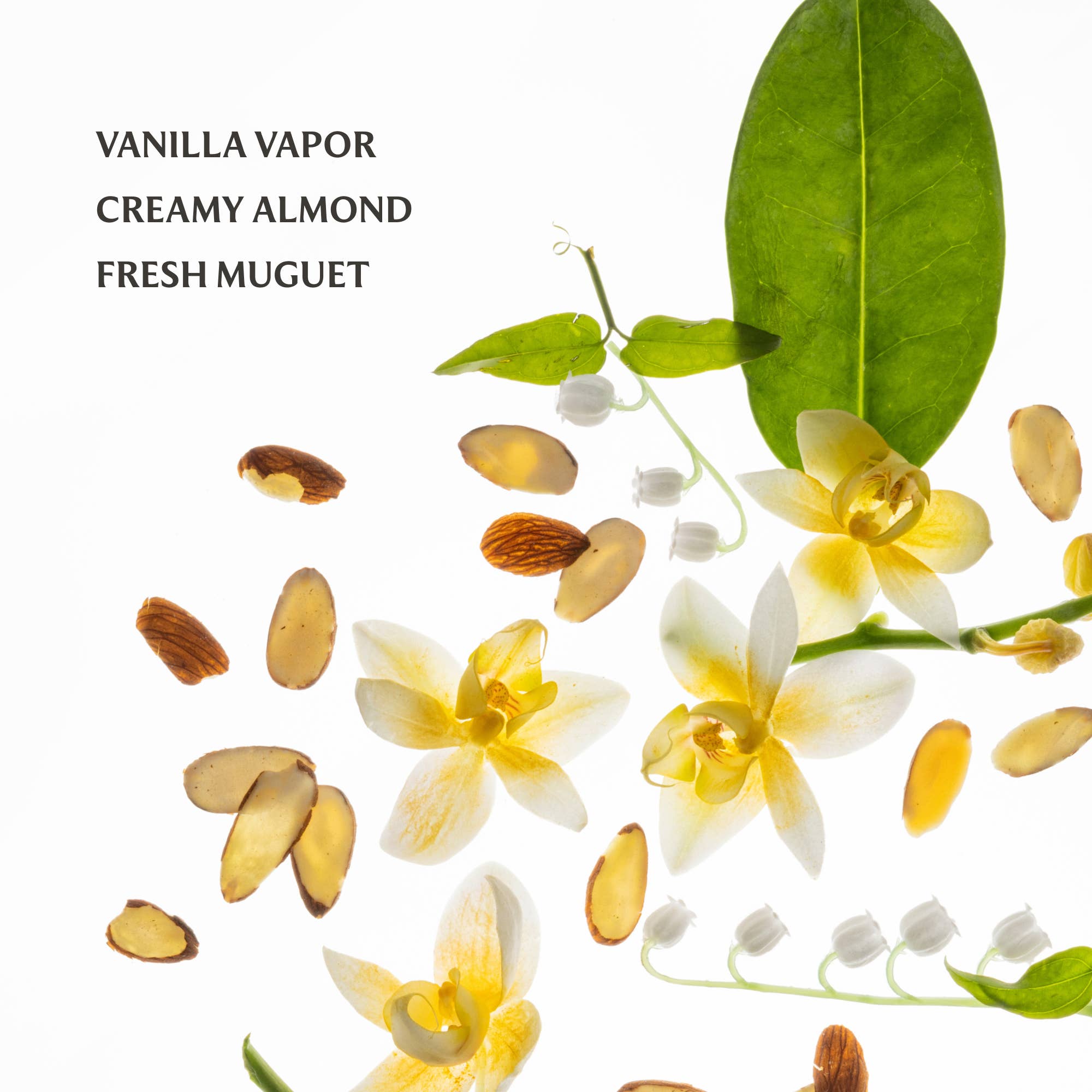 Vanilla Velvet Power Essence Body & Hair Fragrance Mist - The Bronze Butterfly