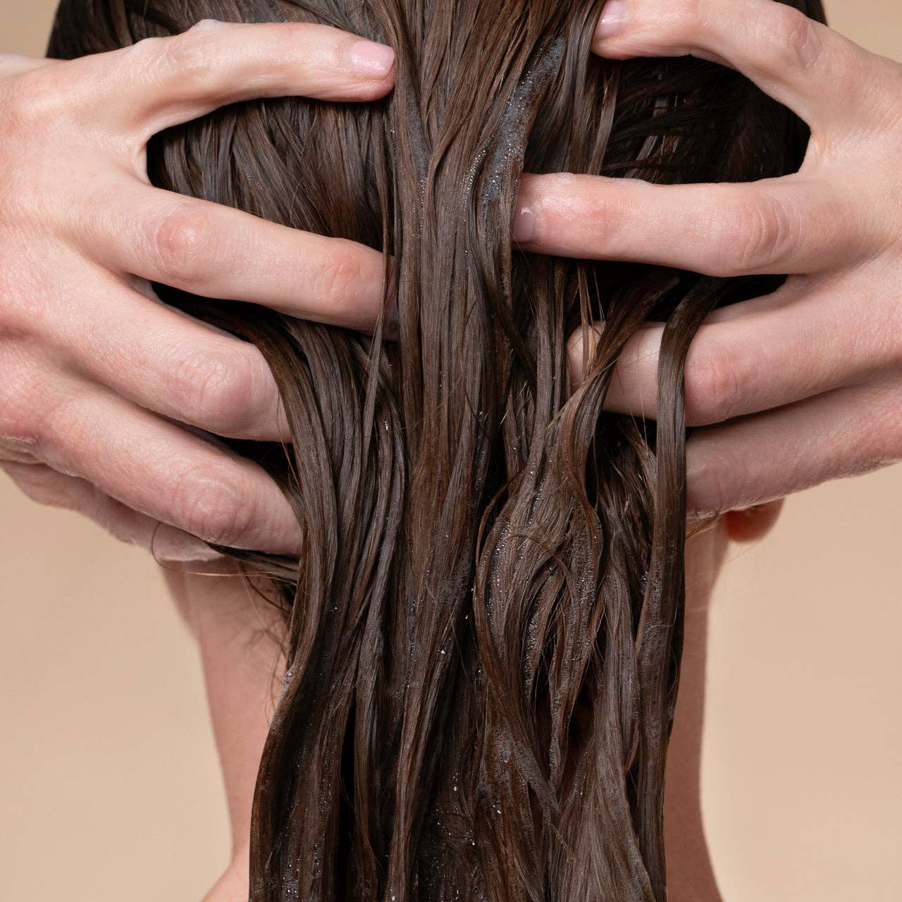 Volumizing Rosemary & Biotin Conditioner - The Bronze Butterfly
