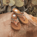 Yellow Box Fitzen Flip Flop Sandal - The Bronze Butterfly