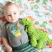Premium Baby & Toddler Minky Blanket - Dinosaurs - The Bronze Butterfly